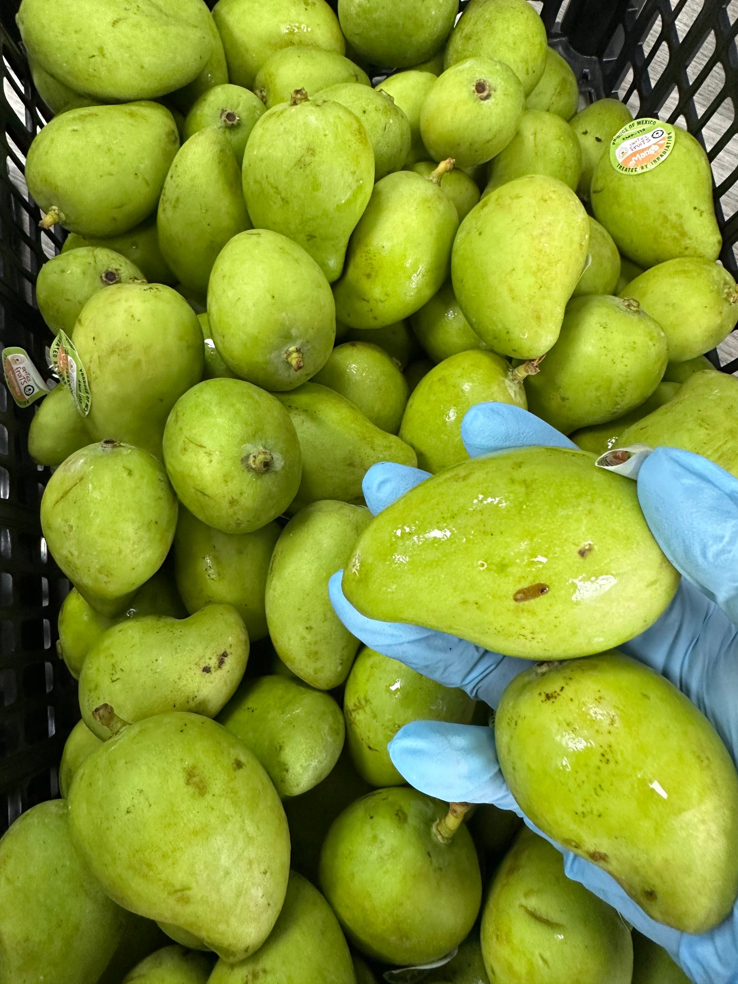 MANGO VERDE 1LB